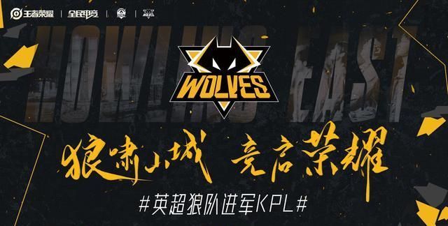 内是组织